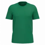 Heren T-shirt Bio190 IC, kelly green — productfoto 37