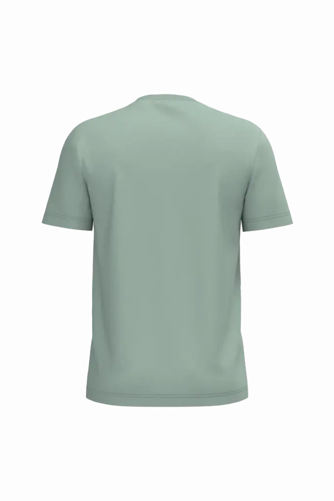 Heren T-shirt Bio190 IC, sage — productfoto 65