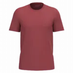 Heren T-shirt Bio190 IC, terracotta red — productfoto 70