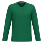 PS_K358_KELLYGREEN - Hidalgo-werbeartikel T-shirt V-hals lange mouwen — productfoto 29