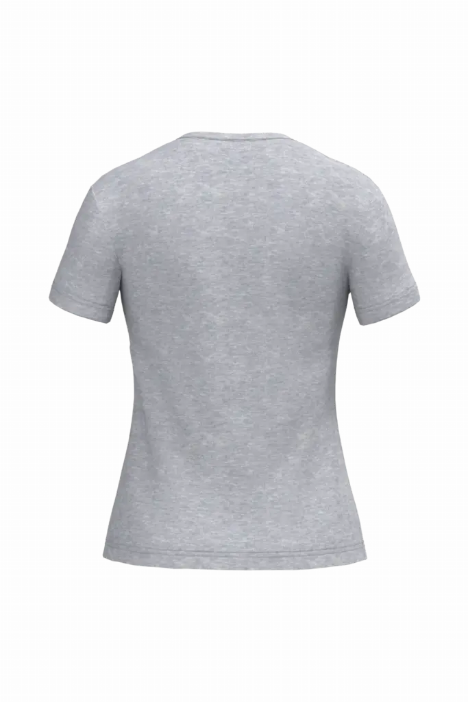 PS_K381-B_OXFORDGREY - Hidalgo-werbeartikel Dames T-shirt v-hals met korte mouwen, oxford grey — productfoto 46
