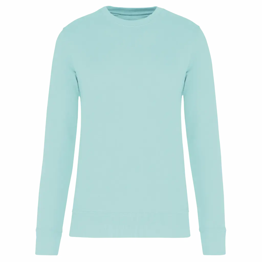 PS_K4025_ICEMINT - Hidalgo-werbeartikel Ecologische sweater met ronde hals, ice mint — productfoto 53