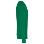 PS_K4025-S_KELLYGREEN - Hidalgo-werbeartikel Ecologische sweater met ronde hals, kelly green — productfoto 55