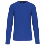 PS_K442_LIGHTROYALBLUE - Hidalgo-werbeartikel Sweater met ronde hals, light royal blue — productfoto 28