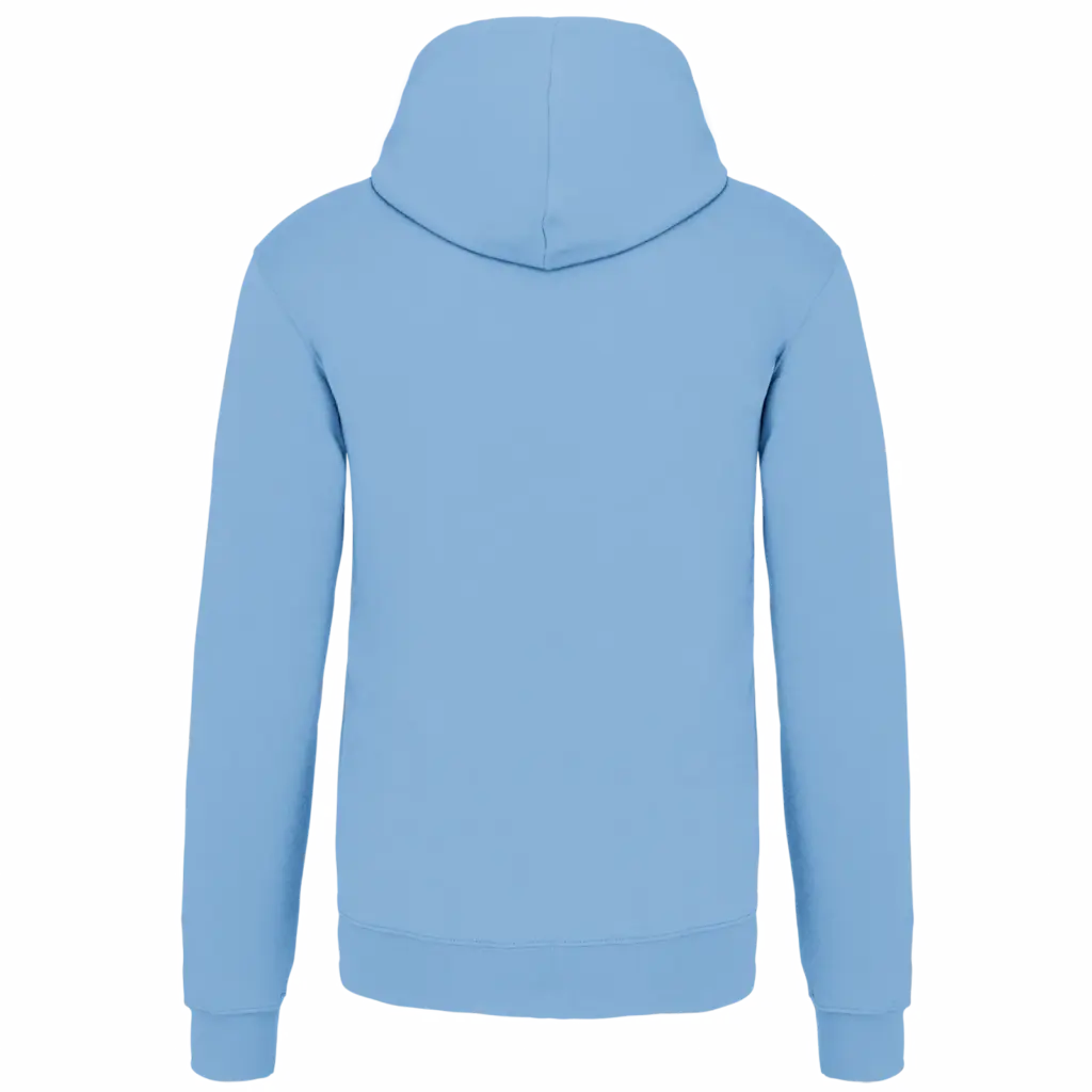 Sweater met contrasterende capuchon, sky blue / white — productfoto 68