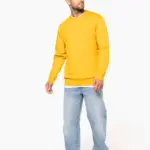 Sweater ronde hals — productfoto 4