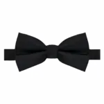 Vlinderdas, black — productfoto 5
