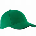 PS_KP011-FS_KELLYGREEN-BLACK - Hidalgo-werbeartikel Orlando - Pet 6 Panelen, kelly green / black — productfoto 26