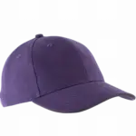 PS_KP011-FS_PURPLE-DARKGREY - Hidalgo-werbeartikel Orlando - Pet 6 Panelen, purple / dark grey — productfoto 42