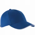 PS_KP011-FS_ROYALBLUE-WHITE - Hidalgo-werbeartikel Orlando - Pet 6 Panelen, royal blue / white — productfoto 49