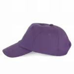 PS_KP013-S_PURPLE - Hidalgo-werbeartikel Bahia - Pet 7 panelen, purple — productfoto 14