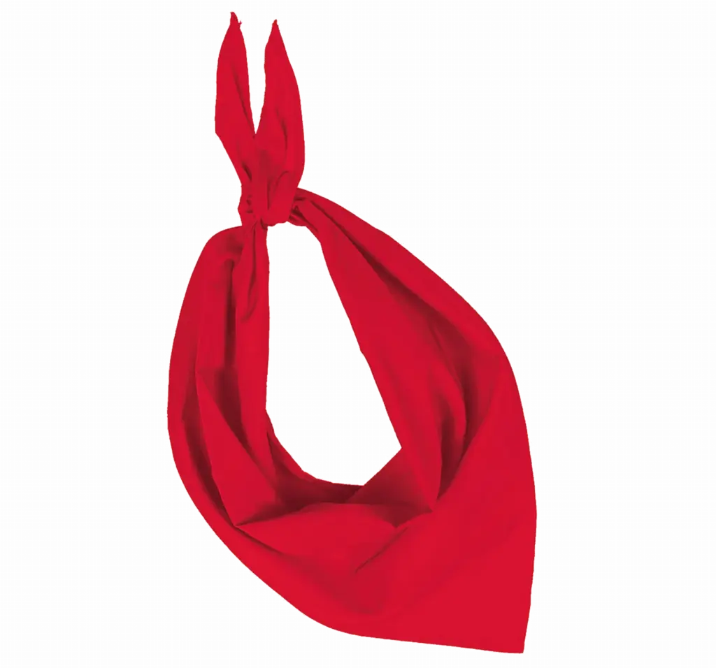 Fiesta - Bandana — productfoto 17