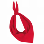 Fiesta - Bandana — productfoto 17