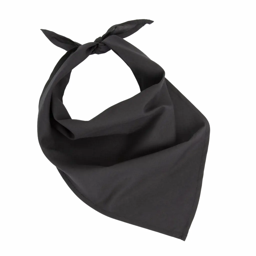 Fiesta - Bandana, black — productfoto 5