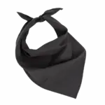 Fiesta - Bandana, black — productfoto 5