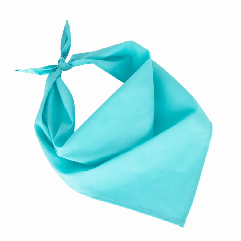 Fiesta - Bandana, calypso blue — productfoto 6