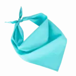 Fiesta - Bandana, calypso blue — productfoto 6
