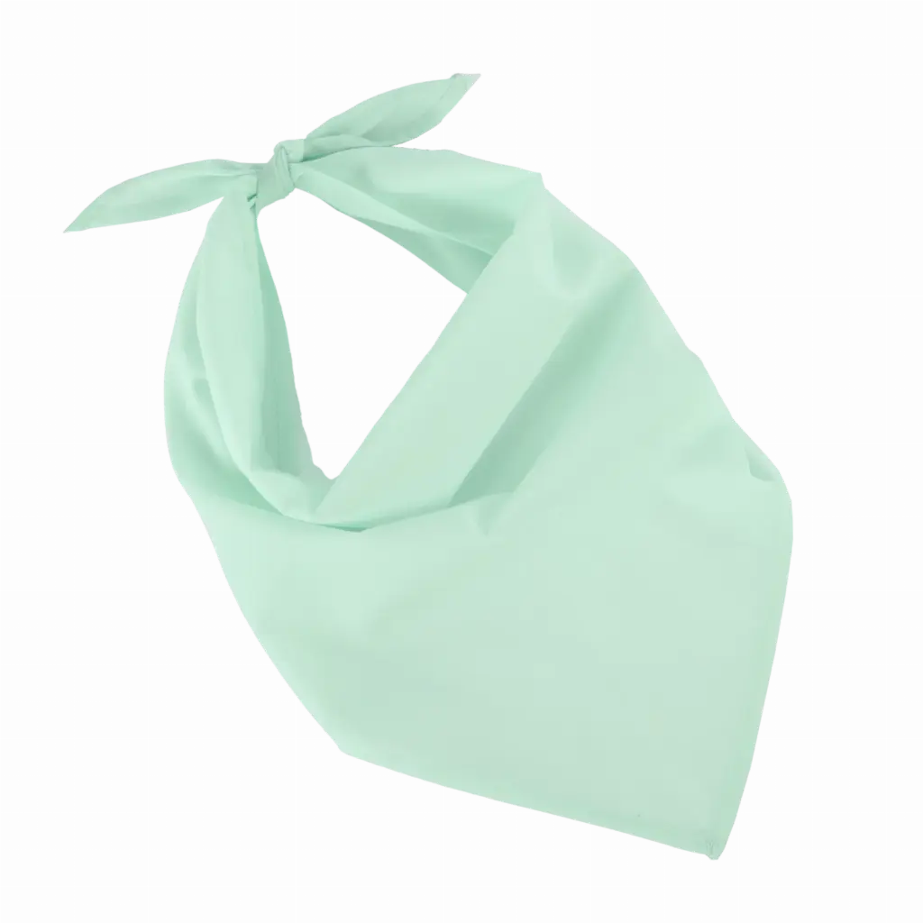 Fiesta - Bandana, frost green — productfoto 8