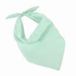 Fiesta - Bandana, frost green — productfoto 8