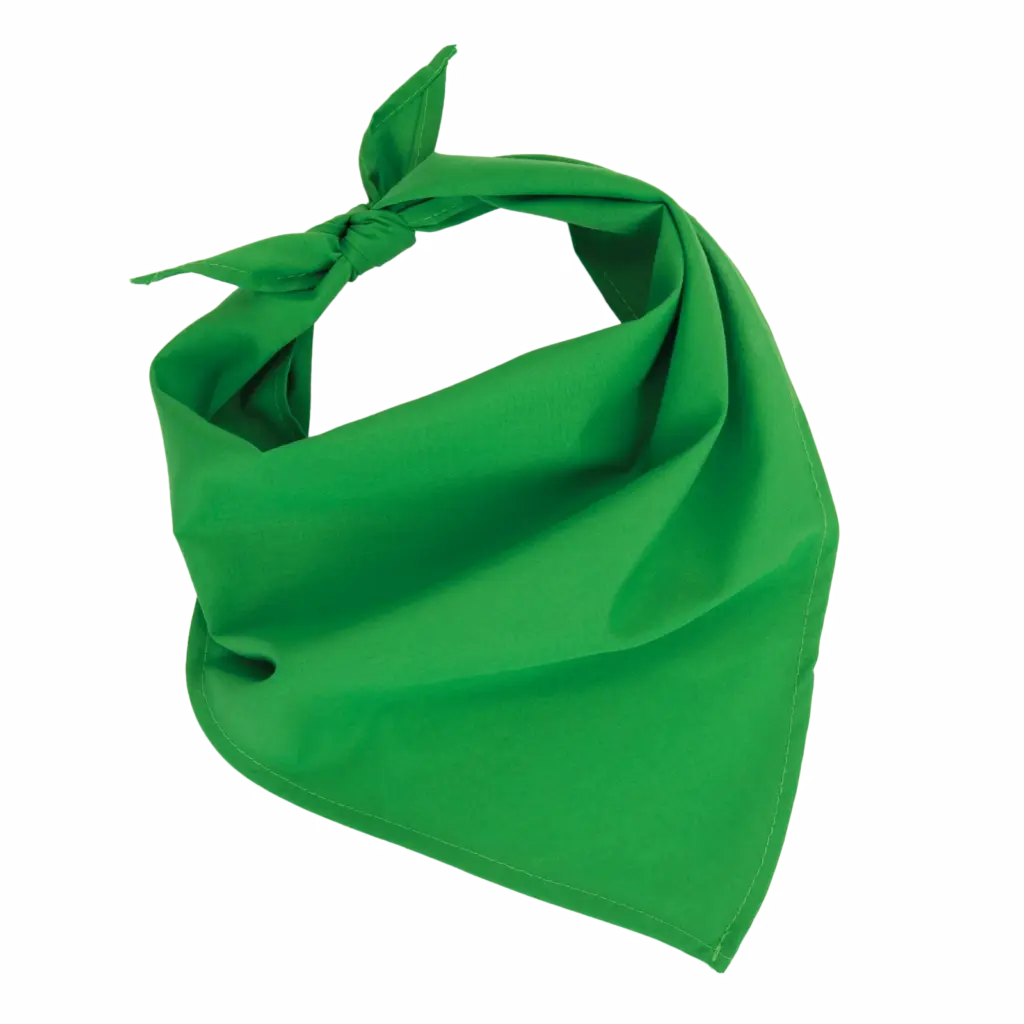Fiesta - Bandana, green — productfoto 10