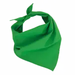 Fiesta - Bandana, green — productfoto 10