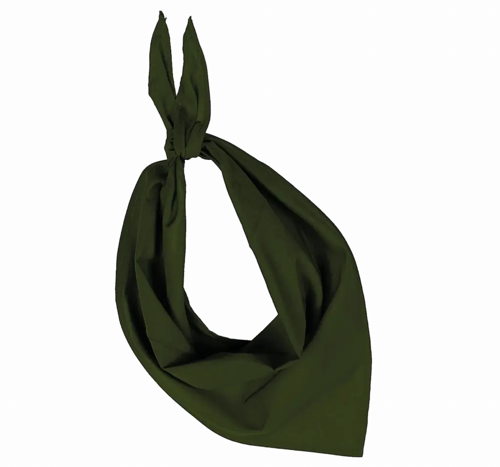 Fiesta - Bandana, olive — productfoto 12
