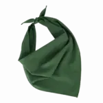 Fiesta - Bandana, pasture green — productfoto 15