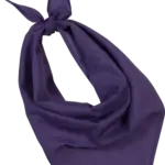 Fiesta - Bandana, purple — productfoto 16