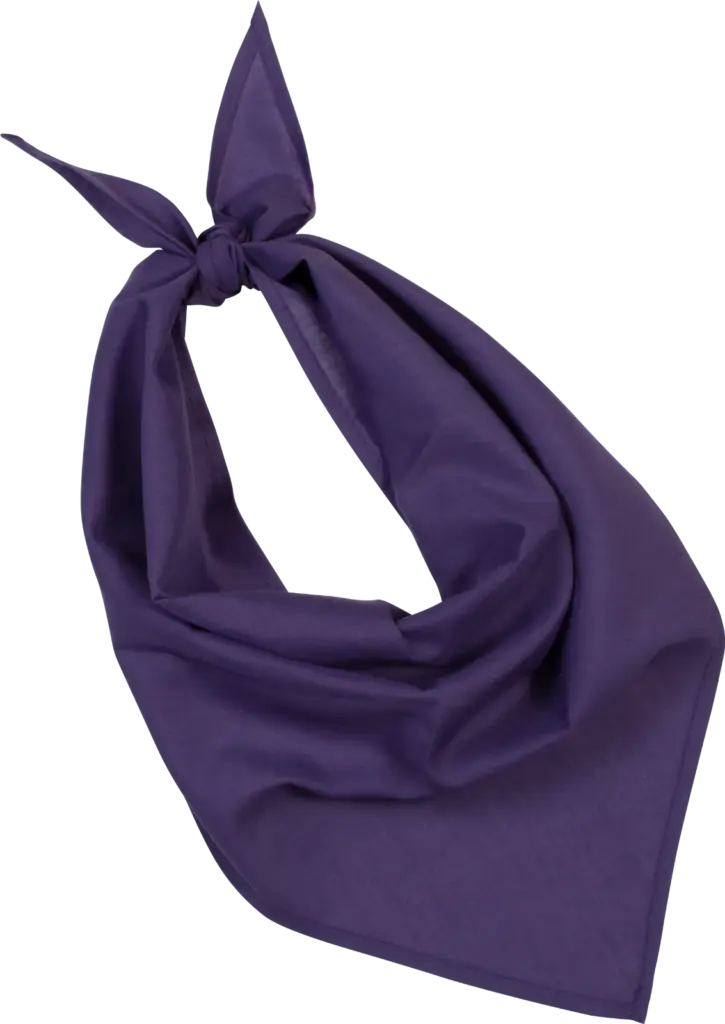 Fiesta - Bandana, purple — productfoto 16