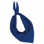 Fiesta - Bandana, royal blue — productfoto 18