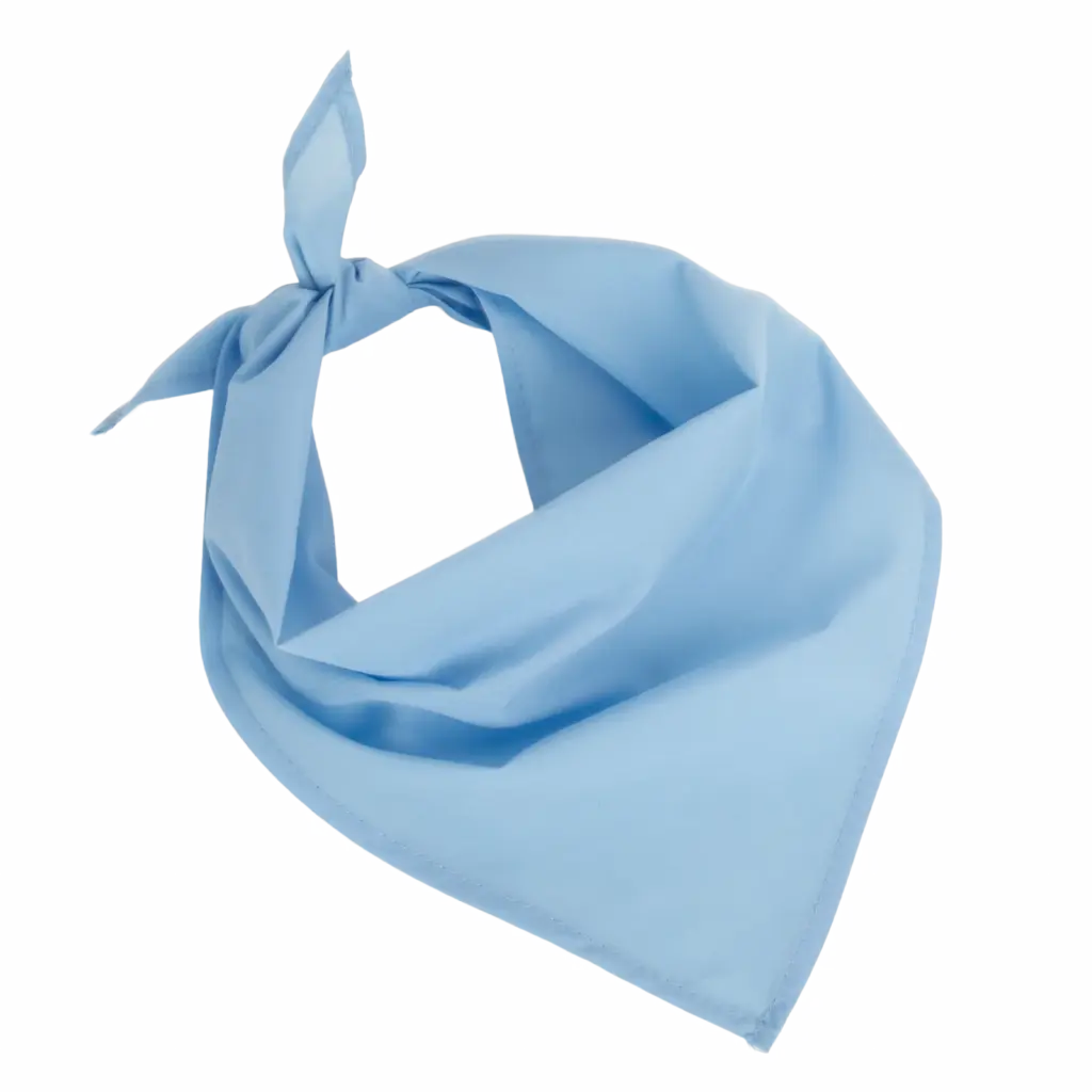Fiesta - Bandana, sky blue — productfoto 19