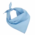 Fiesta - Bandana, sky blue — productfoto 19