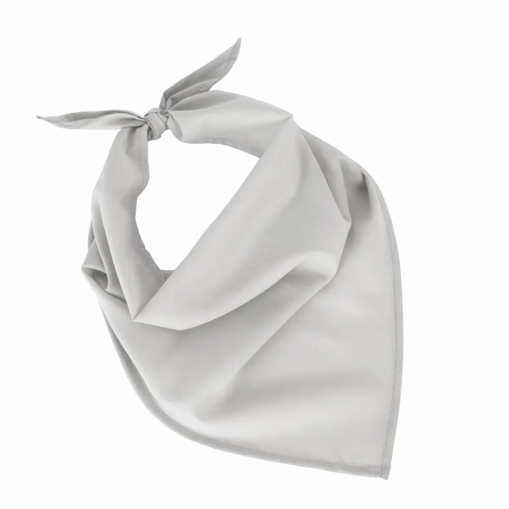 Fiesta - Bandana, sweet grey — productfoto 20