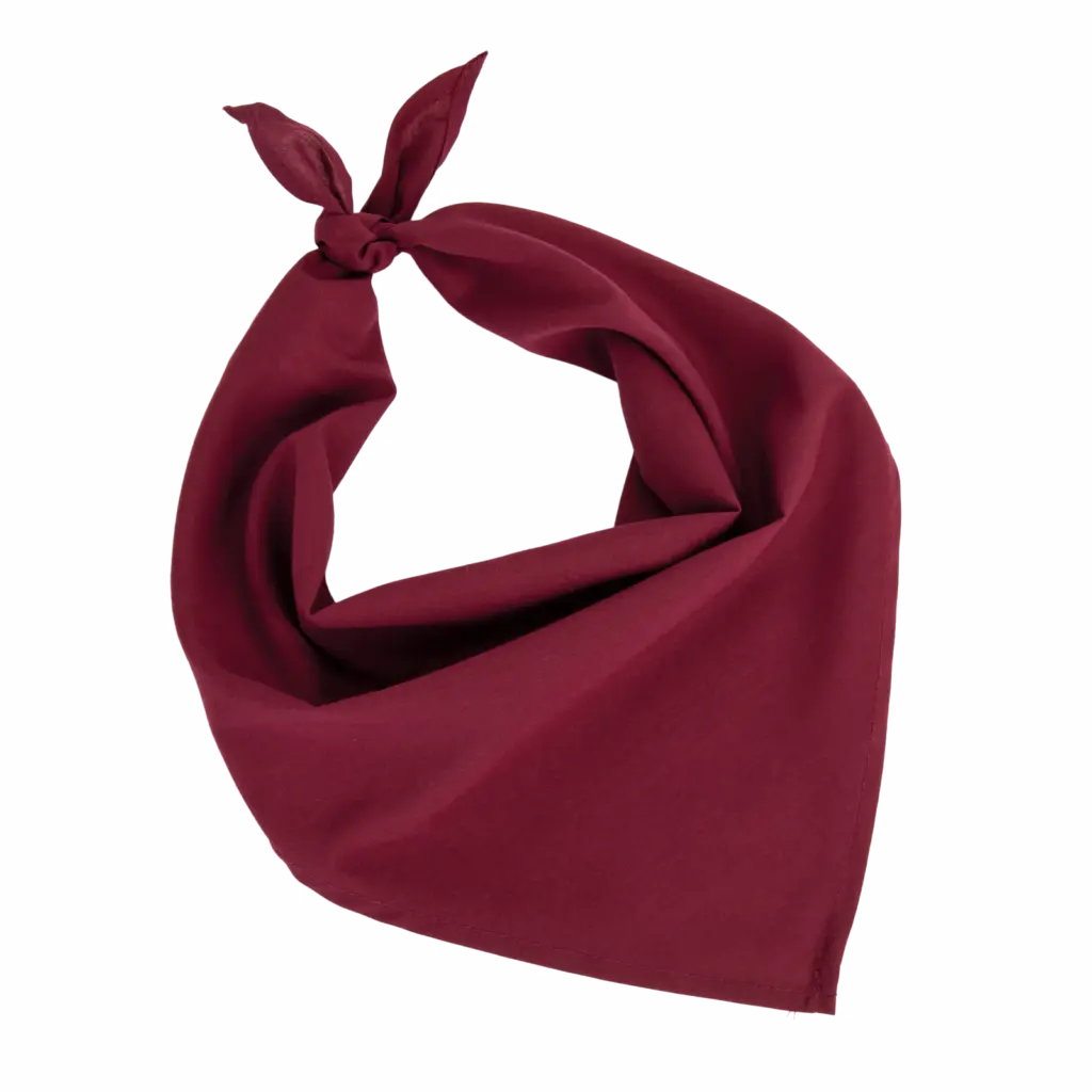 Fiesta - Bandana, wine — productfoto 23