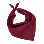 Fiesta - Bandana, wine — productfoto 23