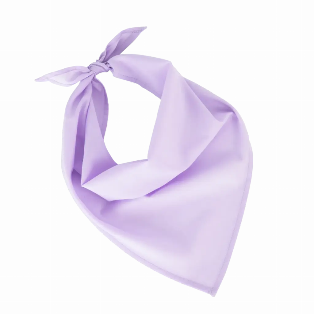 Fiesta - Bandana, wisteria purple — productfoto 24