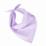 Fiesta - Bandana, wisteria purple — productfoto 24