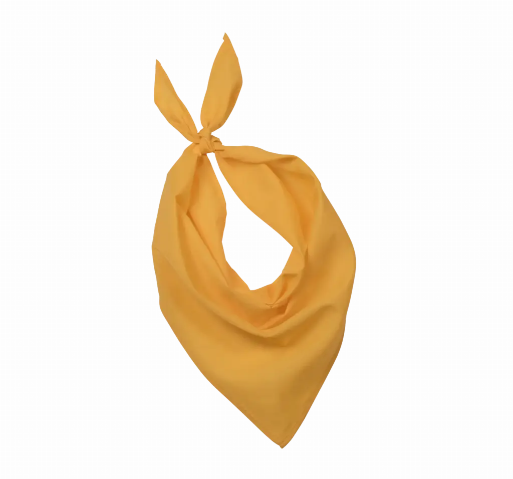 Fiesta - Bandana, yellow — productfoto 25