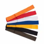 KP066B_2021 - Hidalgo Afneembaar lint voor Panama & Boater hoeden