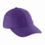 DAD CAP - 6 Panelen, purple — productfoto 13