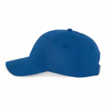 Pet van gerecycled polyester en katoen K-loop tracking - 6 panelen, royal blue — productfoto 13