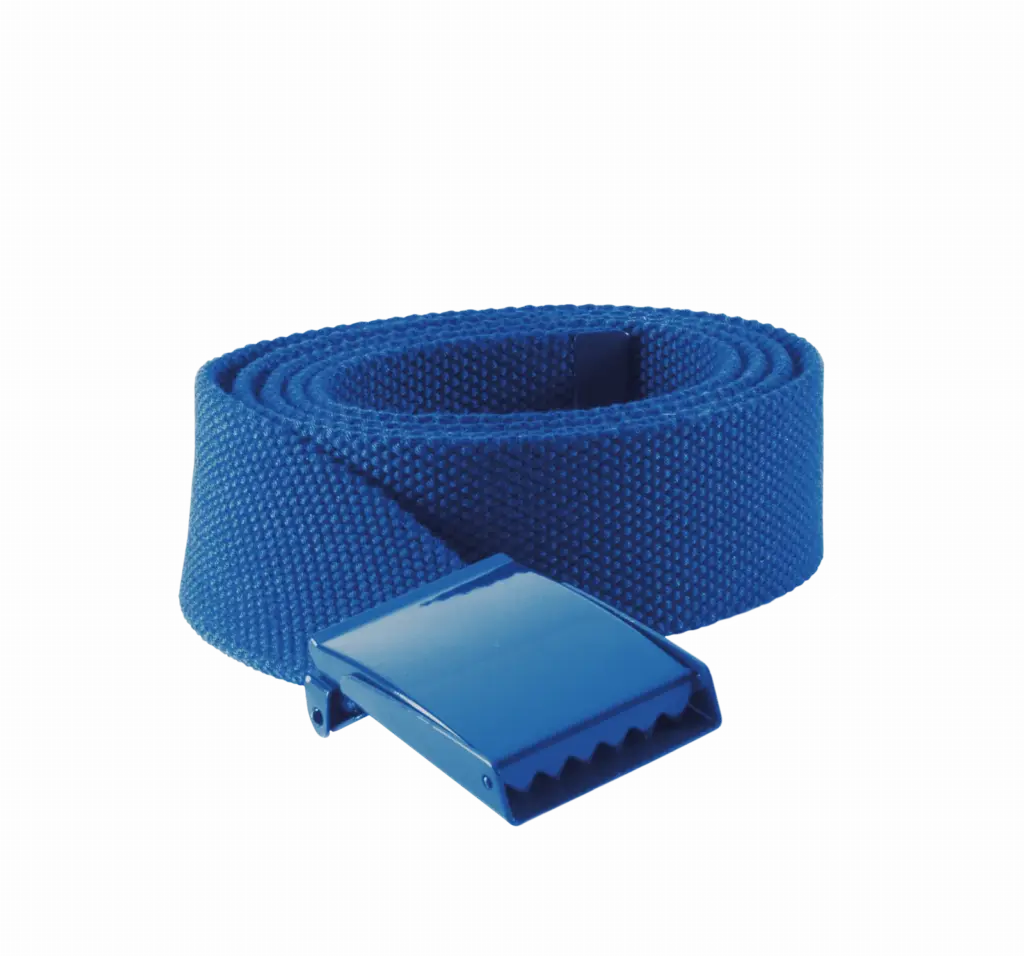 PS_KP802_ROYALBLUE - Hidalgo Riem Van Polyester, royal blue — productfoto 10