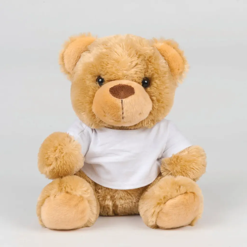 Teddybeer met T-shirt