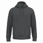 Printed NS401 Organic Hooded Sweatshirt Fleece XXS-4XL — product photo 49