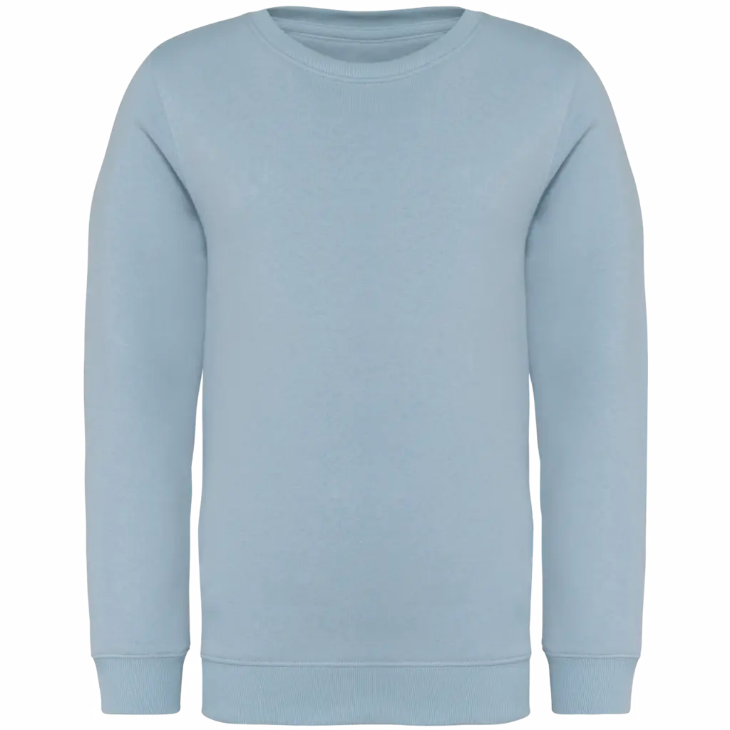 Printed Kids Organic Sweater NS403 Crew Neck 4-14 Years — product photo 6