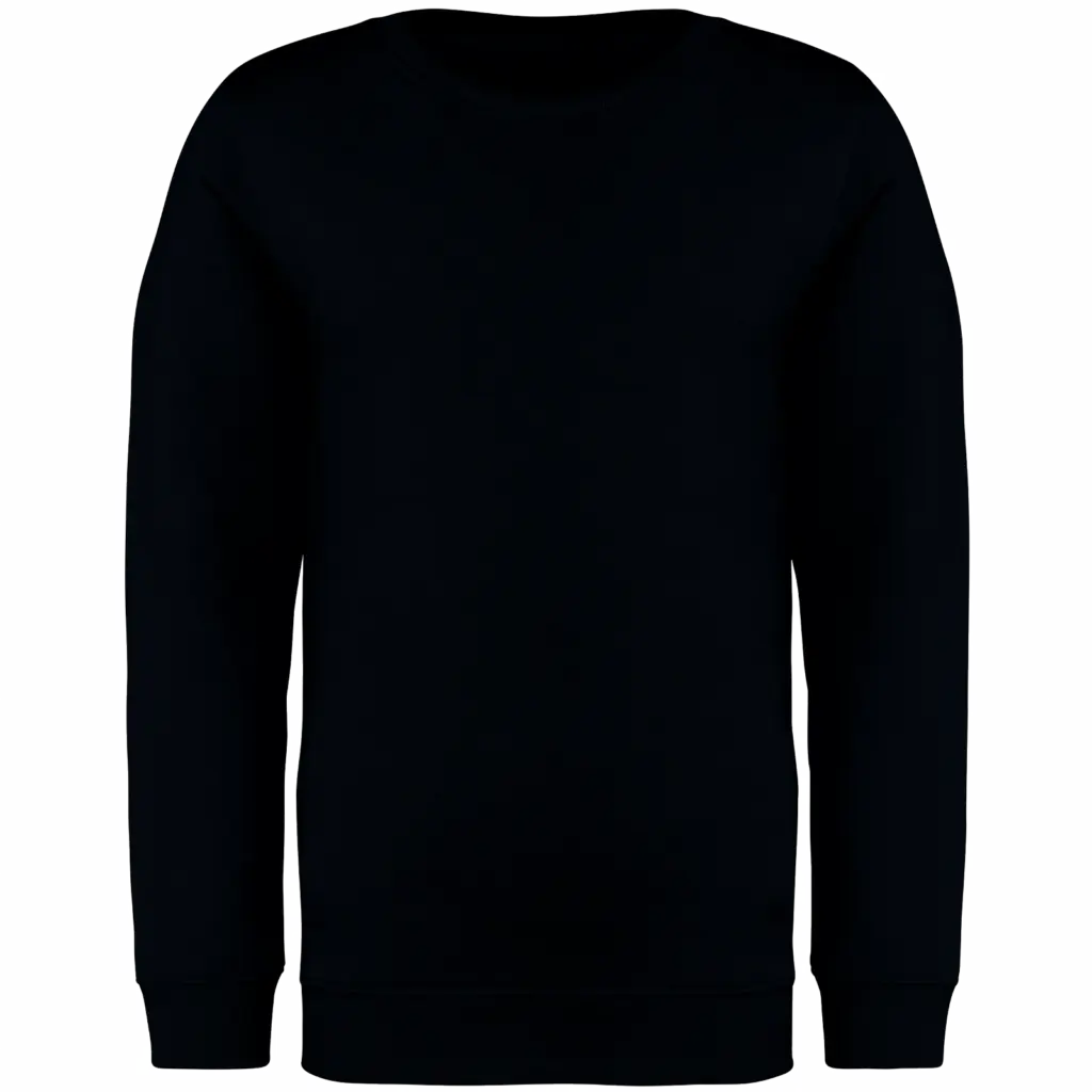 Printed Kids Organic Sweater NS403 Crew Neck 4-14 Years — product photo 7
