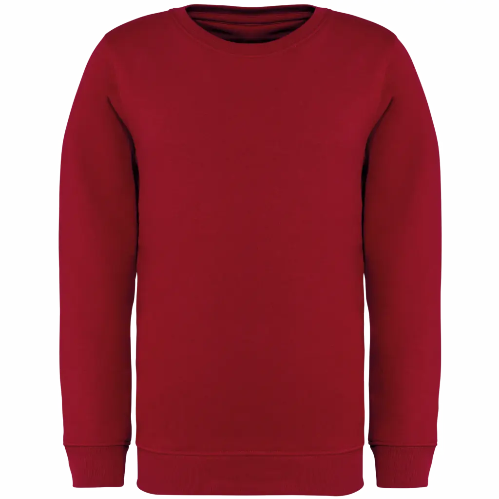 Printed Kids Organic Sweater NS403 Crew Neck 4-14 Years — product photo 8