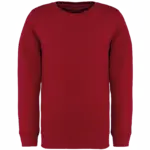 Printed Kids Organic Sweater NS403 Crew Neck 4-14 Years — product photo 8