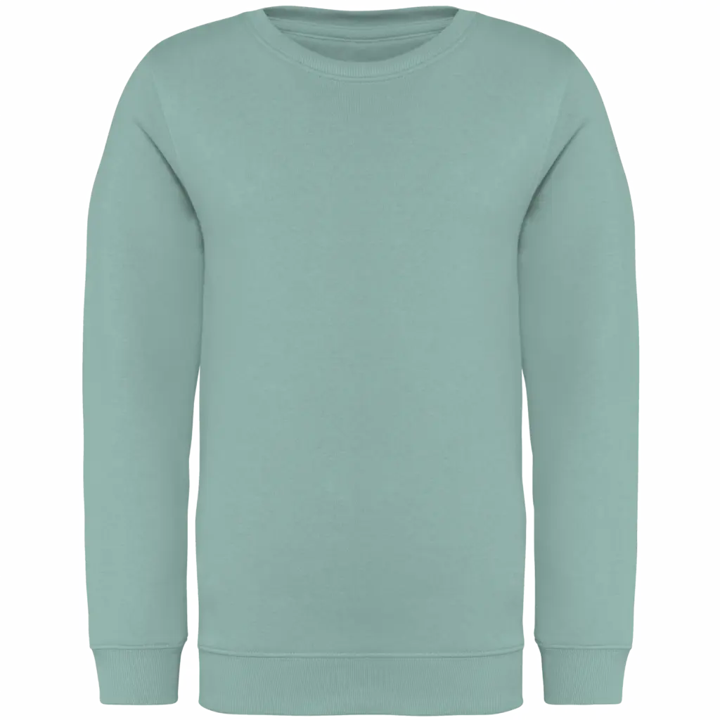 Printed Kids Organic Sweater NS403 Crew Neck 4-14 Years — product photo 10