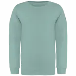 Printed Kids Organic Sweater NS403 Crew Neck 4-14 Years — product photo 10